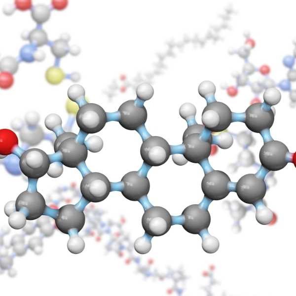 Sistema Hormonal